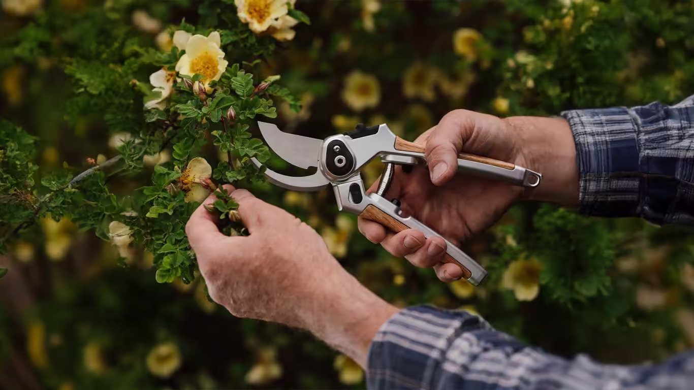 Eversharp Secateurs